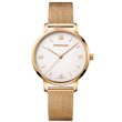 Women's watch Wenger 01.1731.107 Metropolitan Donnissima, 38mm, 10ATM, Gold