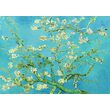 Puzzel 1000 stukjes Geniet - Vincent Van Gogh: Amandelbloesem