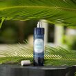 Parfum d&#39;Ambiance 100ml Bois de Santal &amp; Fleur de Cocotier - Esteban Paris