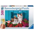 Puzzle 500 Teile Ravensburger - Kätzchen