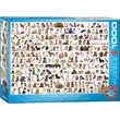 Puzzle Eurographics - Die Welt der Hunde, 1000 Teile