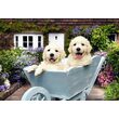 Puzzle Anatolico - Cuccioli In Una Carriola, 260 pezzi