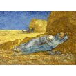 Puzzle 1000 piese Enjoy - Vincent Van Gogh: The Siesta