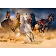 Puzzle 1000 piese Enjoy - Horses Running in the Desert