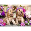 Puzzle 1000 Teile Enjoy – Spanielwelpen mit Blumenhüten