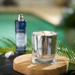 Parfum d&#39;Ambiance 100ml Bois de Santal &amp; Fleur de Cocotier - Esteban Paris