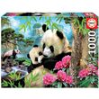 Puzzle Educa - Panda, 1000 Teile, inklusive Kleber