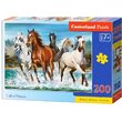 Puzzle Castorland - Ruf der Natur, 200 Teile