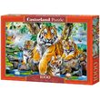 Puzzle Castorland - Tigers by the Stream, 1000 piese