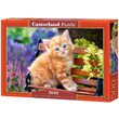 Puzzel Castorland - Ginger Kitten, 500 stukjes