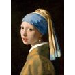 Puzzle 1000 piese Enjoy - Johannes Vermeer: Girl with a Pearl Earring