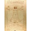 Puzzle 1000 piese Enjoy - Leonardo Da Vinci: The Vitruvian Man