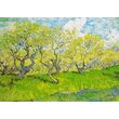 Puzzle 1000 piese Enjoy - Vincent Van Gogh: Orchard in Blossom