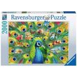 Puzzle 2000 Teile - Land des Pfaus
