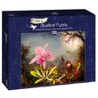 Puzzle de 1000 piezas - Martin Johnson Heade: Orquídea Cattleya y tres colibríes, 1871