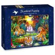 Puzzle Bluebird - Familia En La Piscina De La Selva, 1000 piezas