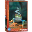 Eurographics Puzzle - Rotäugiger Laubfrosch, 1000 Teile