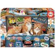Puzzle Educa - Chatons voyageurs, 200 pièces