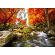 Puzzle 1000 piezas Enjoy - Cascada de Otoño
