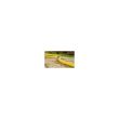 Tubo da giardino, 3 strati, + regalo 2 raccordi, 1 adattatore, 3/4&quot;, 25 m, Cellfast Plus