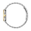Reloj mujer Citizen EM0506-77A Eco Drive, 30mm, 5ATM, Oro