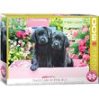 Puzzle 500 piese XXL - Black Labs in Pink Box