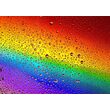 Puzzle 1000 pièces Enjoy - Rainbow Drops