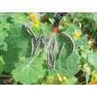 Gartensprühgerät, Sprühpumpe, Vermorel, manuell, für Schulter, gelb, 10 l, Dimartino