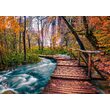 Puzzle 1000 piese Enjoy - Forest Stream in Plitvice, Croatia