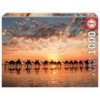 Puzzle Educa - Cavo Tramonto In Spiaggia, 1000 pezzi