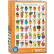 Puzzle Eurographics - Cactus & Plantes succulentes, 1000 pièces