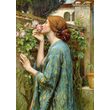 Puzzle 1000 piese Enjoy - John William Waterhouse: The Soul of the Rose