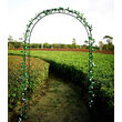 Arco in metallo, pergola, per giardino, 140x37x240 cm
