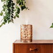 Diffuseur Electric Light&amp;Copper - Esteban Paris