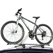 Bicycle car mount, ceiling mount, Fischer