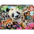 Puzzle Educa - Black-Eyed Friends Selfie, 300 Teile