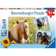 Puzzle Ravensburger - Pferde, 3x49 Teile
