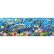 Puzzle Anatolian - Undersea, 1000 Teile, Panorama