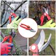 Forbici da giardino tipo bypass, professionali, acciaio SK5 + guanti in lattice, 22 cm, XTLINE