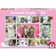 Schmidt Puzzle - Kätzchen, 100 Teile