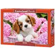Puzzle Castorland - Welpe in rosa Blumen, 500 Teile