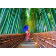 Puzzle 1000 piese Enjoy - Asian Woman in Bamboo Forest