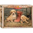 Eurographics Puzzle – Rosemary Millette: Etwas Altes, etwas Neues, 1000 Teile