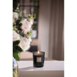 Bougie Parfumée Figue Noire - Esteban Paris