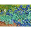 Puzzle 1000 piese Enjoy - Vincent Van Gogh: Irises