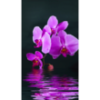 Panou radiant electric decorativ TRIO, incalzire cu infrarosu 430W  termostat 2 trepte  model orhidee violet,  100 x 60 cm
