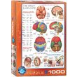 Puzzle Eurographics - Das Gehirn, 1000 Teile