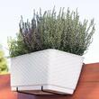 Fioriera decorativa, Prosperplast, simil rattan, supporto, bianco, 49,2x17,2x17,4 cm
