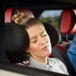 Cuscino per il collo dell'auto, Cartrend