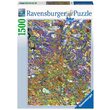 Puzzle 1500 piese Ravensburger - Banc De Pesti
